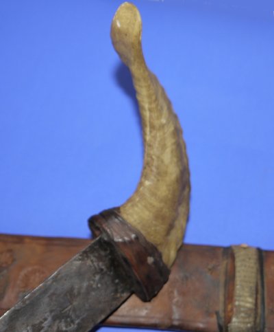 Image ZV87 1