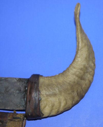 Image ZV87 6