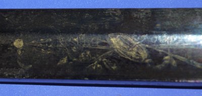 Image ZV92 7