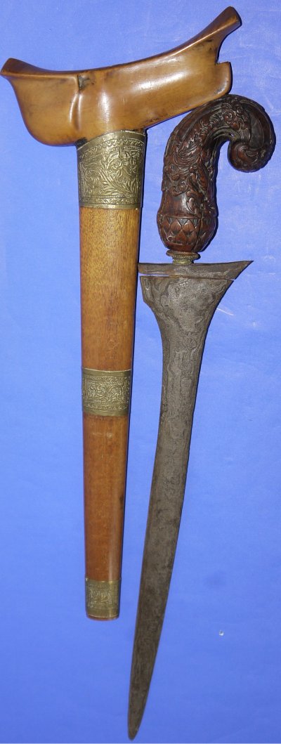 Image ZV95 12
