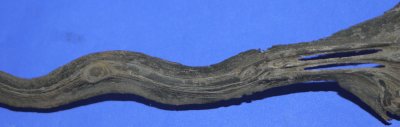 Image ZV96 4