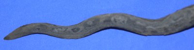 Image ZV96 7