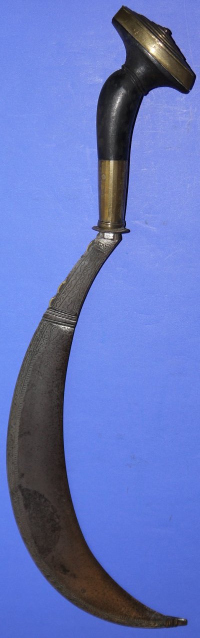 Image ZW38 11