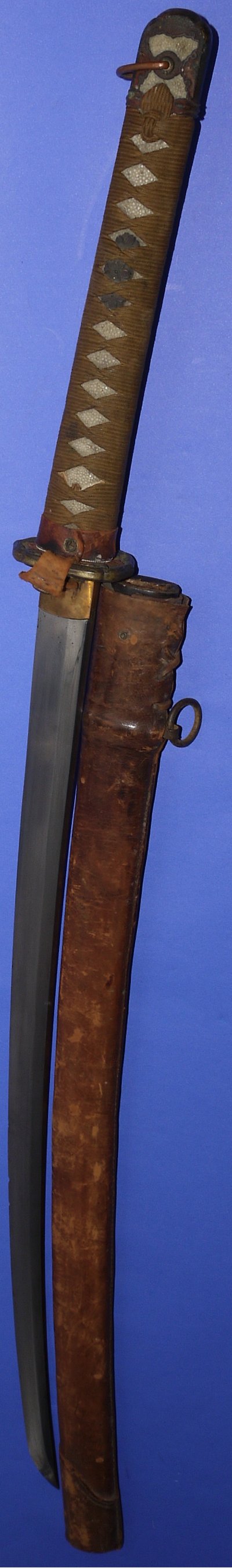Image ZW77 10