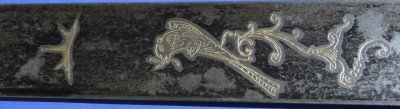 Image ZY29 6