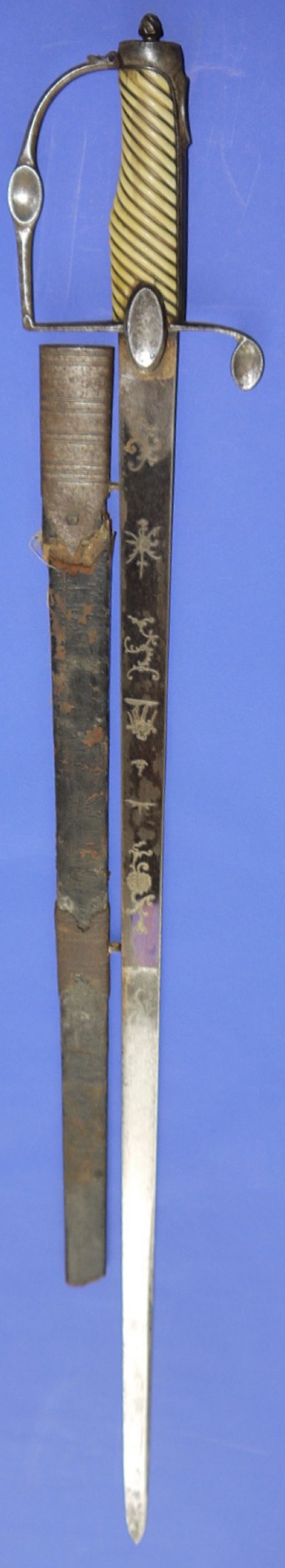 Image ZY29 12