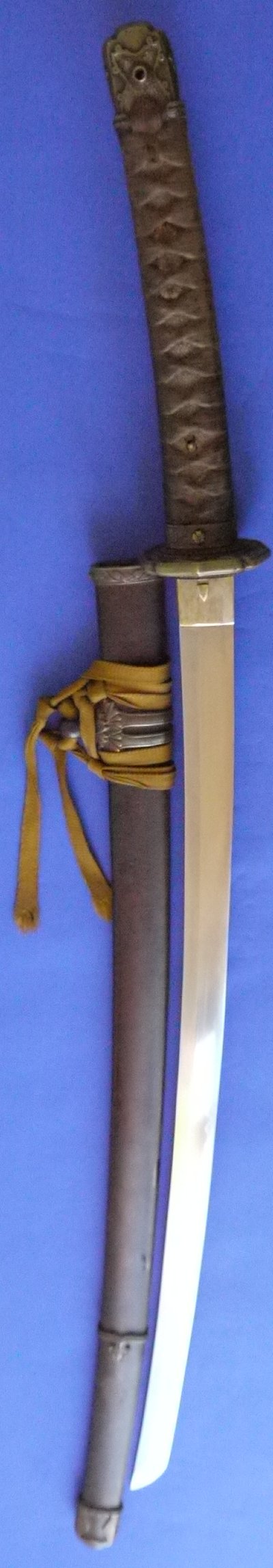 Image ZY70 10