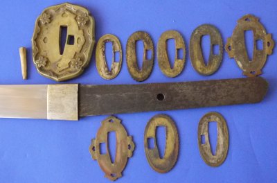 Image ZY70 4